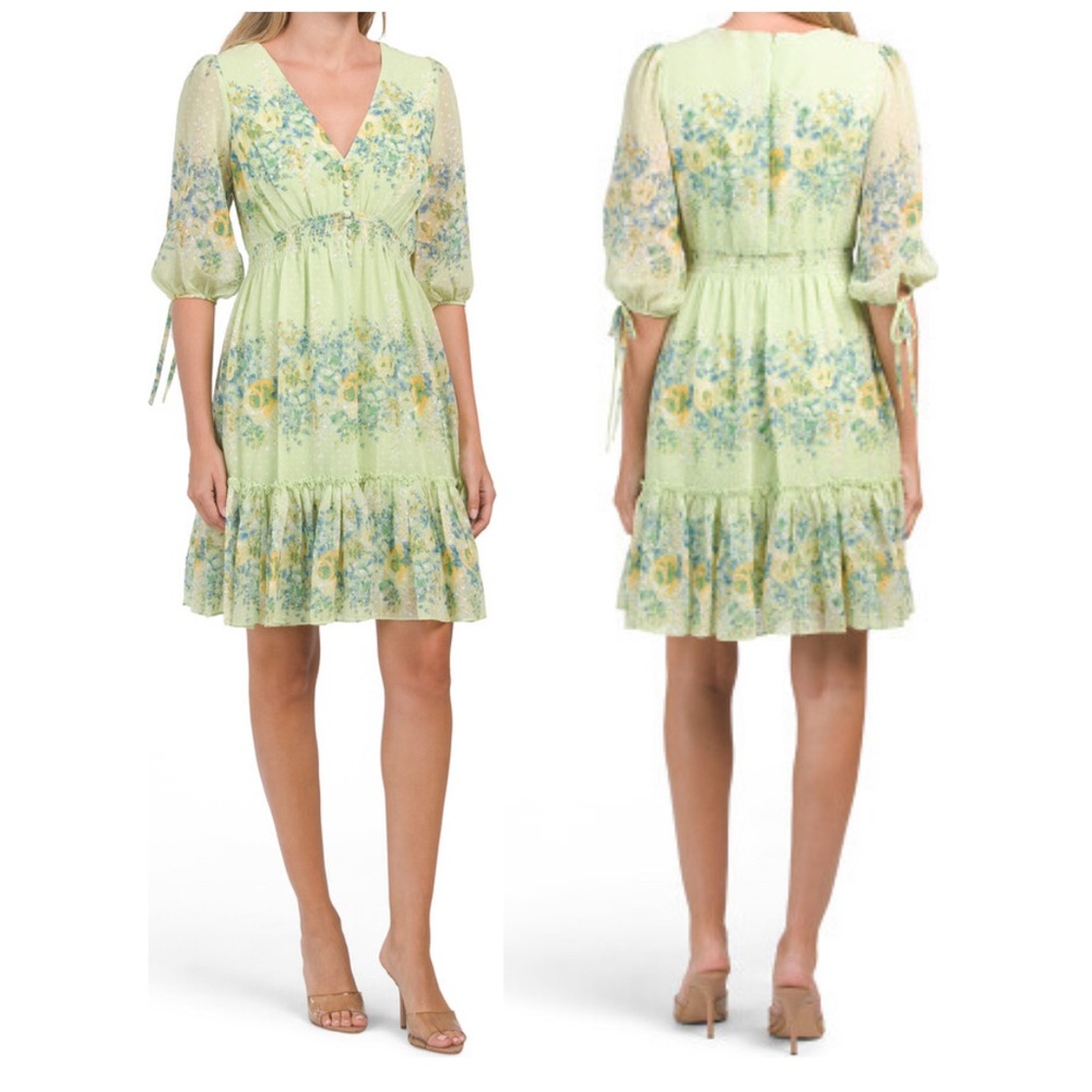 Taylor Three-Quarter Sleeve Clip Dot Floral Border Dress